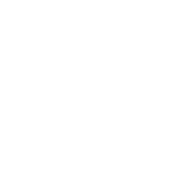 Moët & Chandon
