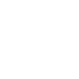 Scavi & Ray